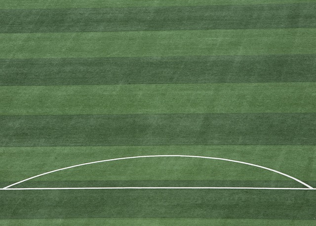 也避免了因 也避免了因