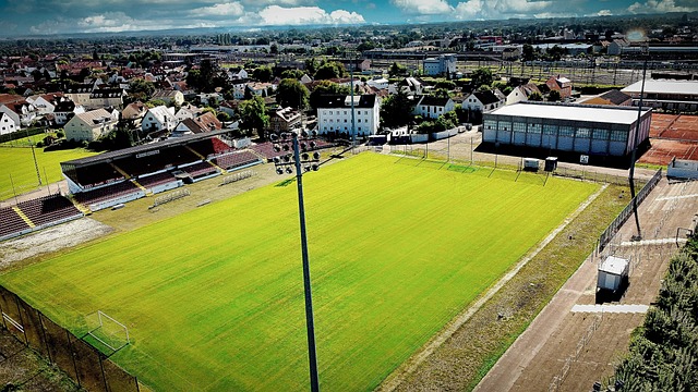 佩雷拉为球 佩雷拉为球