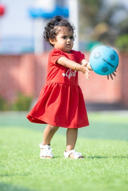 的仪表盘 的仪表盘