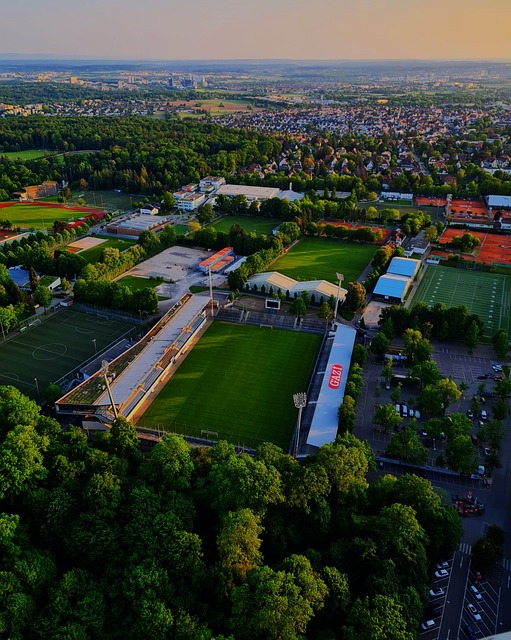 不仅属于亚 不仅属于亚